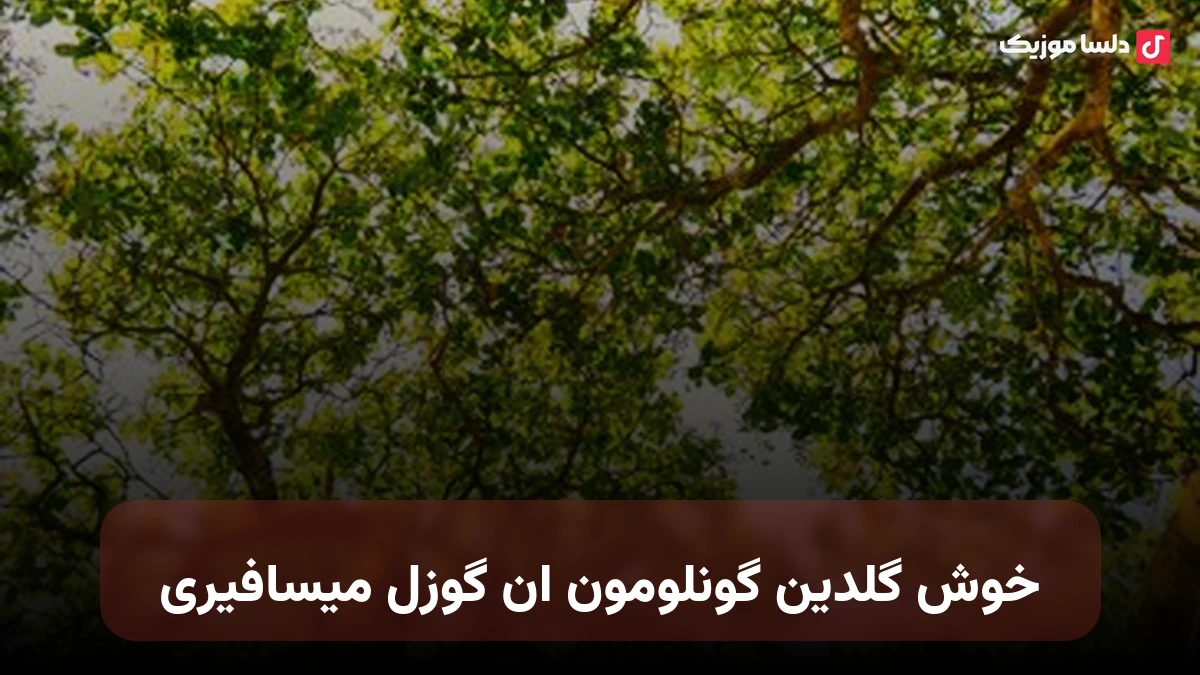 ترکی خوش گلدین گونلومون ان گوزل میسافیری